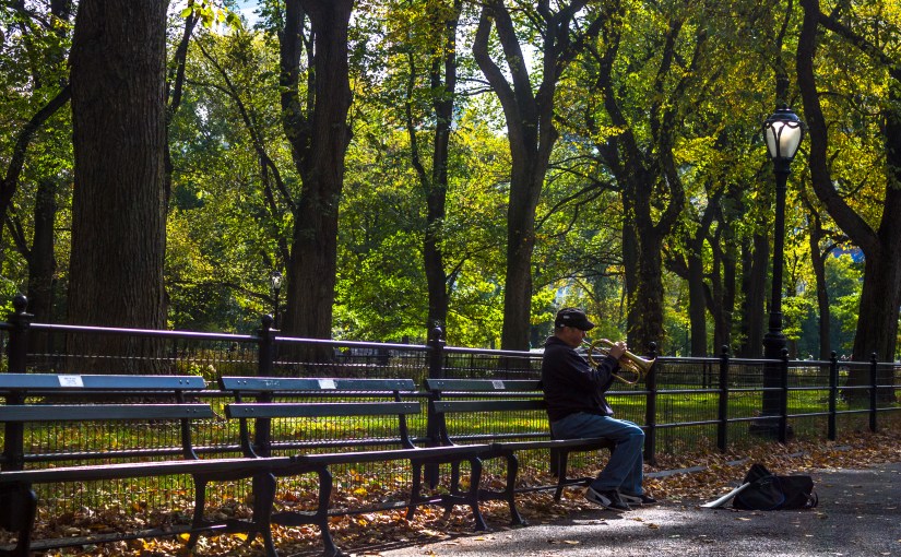 Central Park Musician