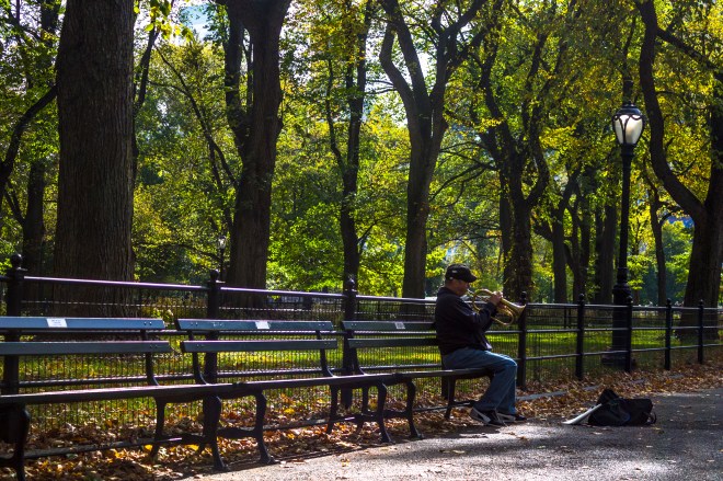 central-park-trumpet-1