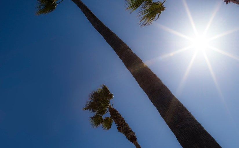 Venice Beach Los Angeles