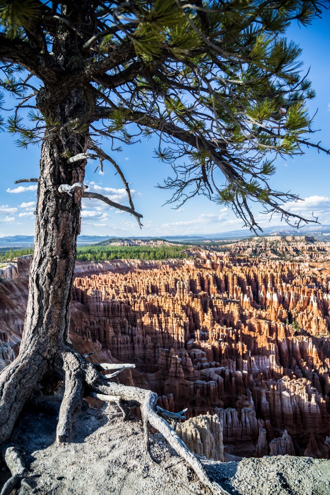 Bryce-Canyon-5