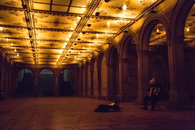 Accordian-Central-Park-1