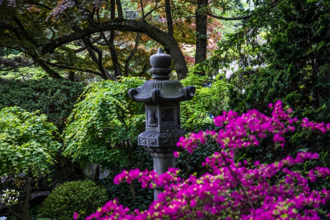 Brooklyn-Botanical-Garden-5