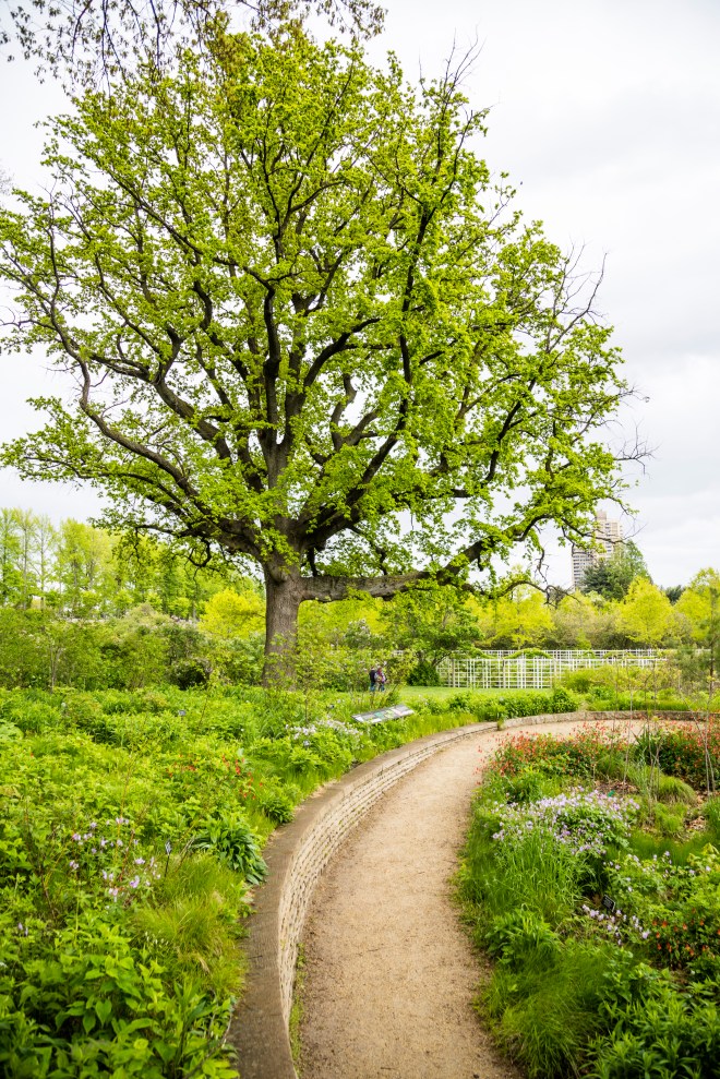 Brooklyn-Botanical-Garden-6
