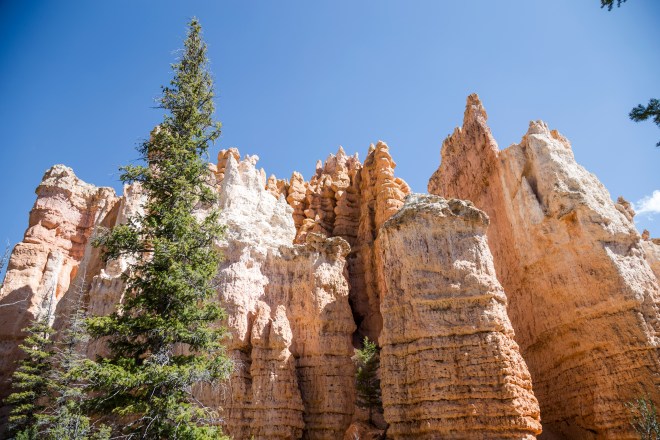 Bryce-Canyon-28
