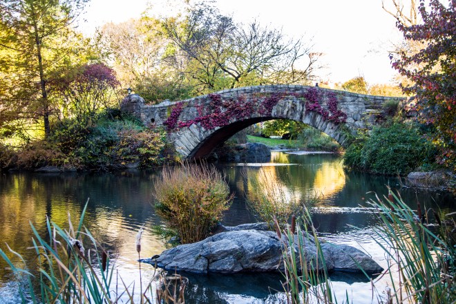 Central-Park-Fall-5
