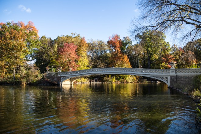 Central-Park-Fall-7