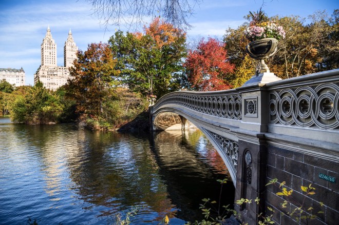 Central-Park-Fall-8a