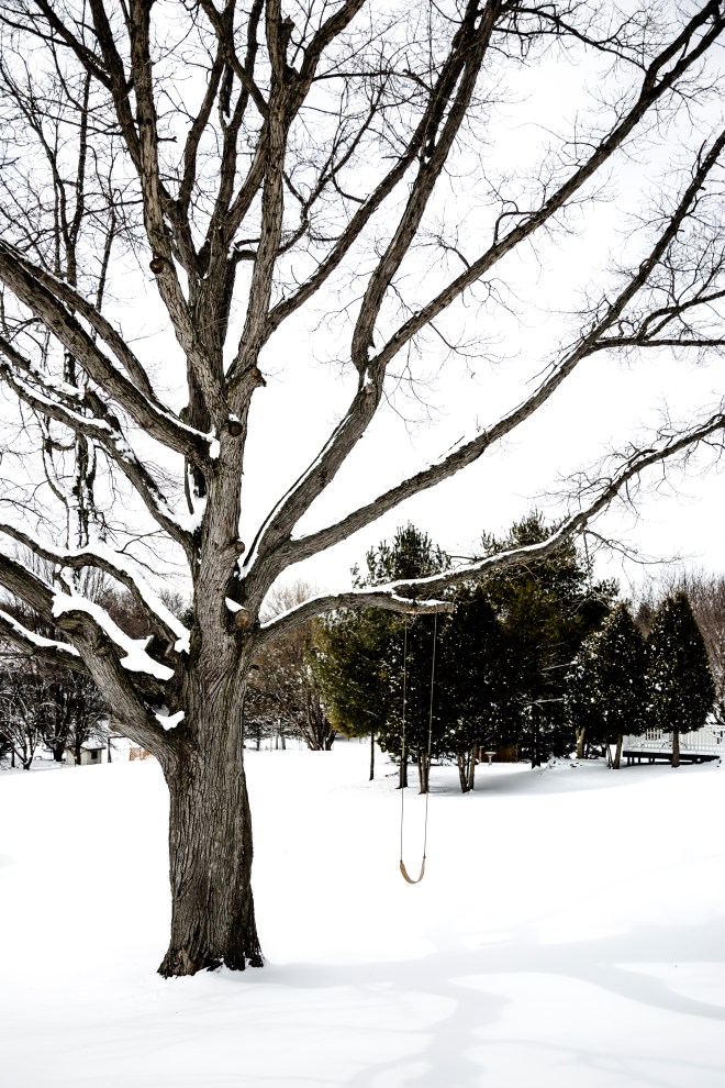 Snowy-Tree-1